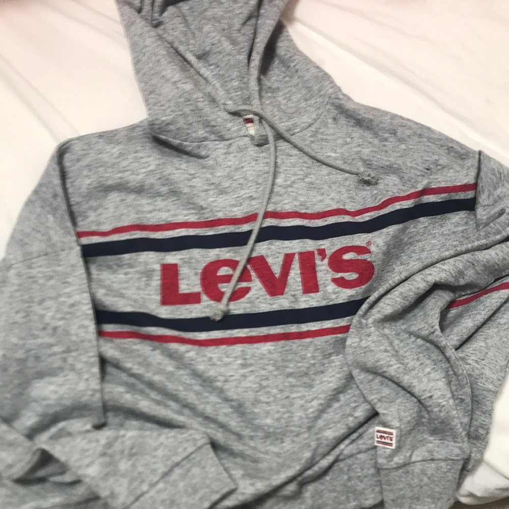 Gray Levi hoodie (brought from japan)
